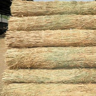 草簾子 ，草包 草繩上海地區(qū)降溫，雨雪天氣注意植物防寒抗凍，