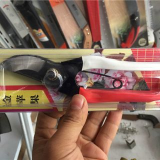 金蘋(píng)果手剪 ，整枝剪